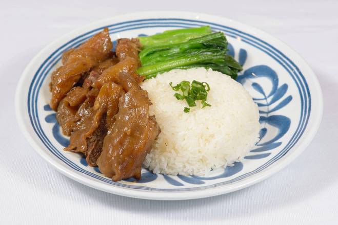 Chu Hou Braised Beef Tendon with Rice 柱侯牛筋飯